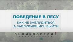 Грибы и ягоды без риска: рекомендации для безопасного похода в лес